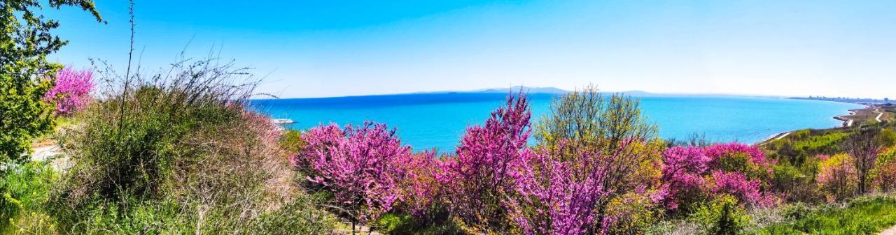 Luxury Apartments Alix Burgas Luaran gambar